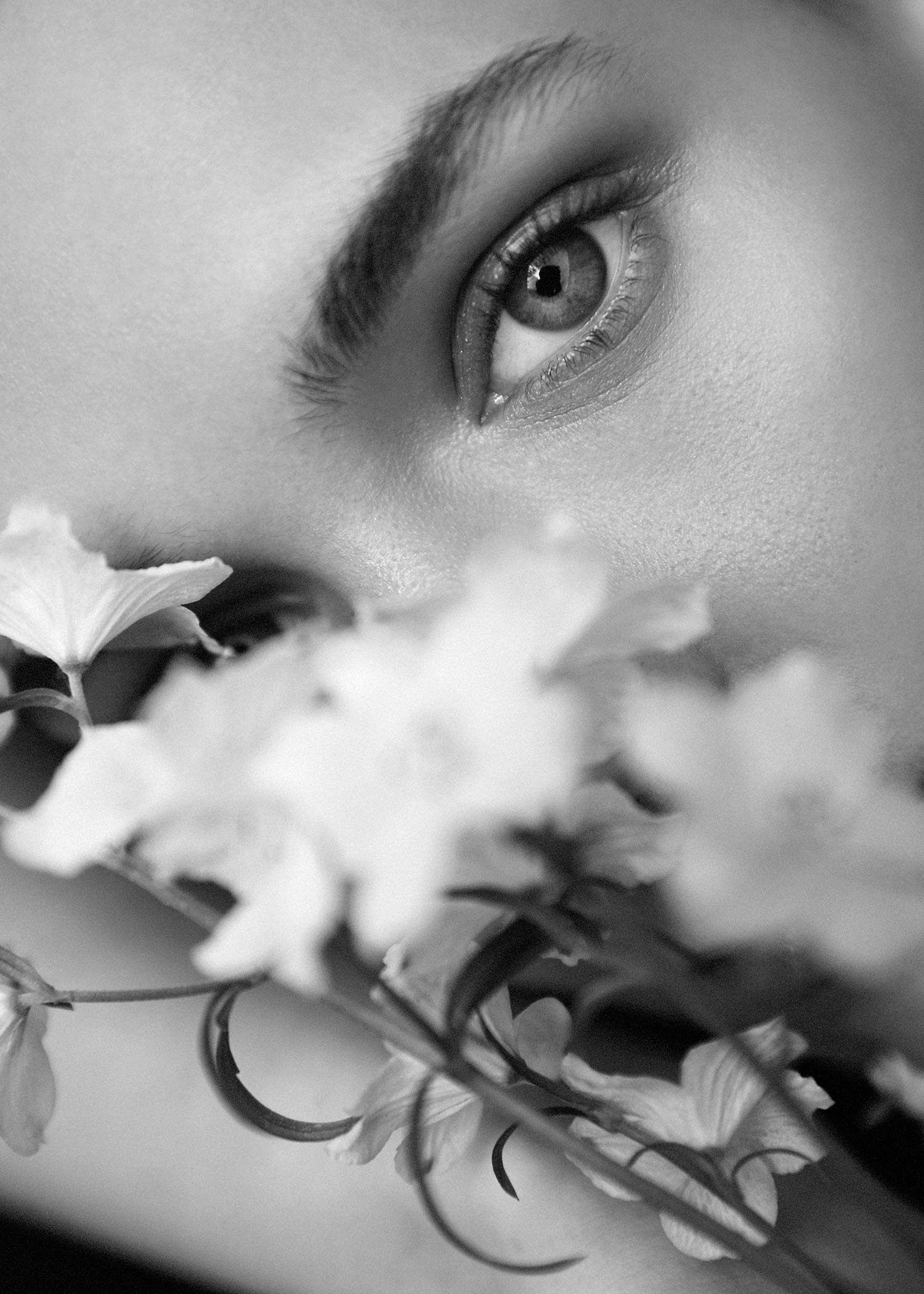 plinth_studio_the_fievre_talent_eye-1