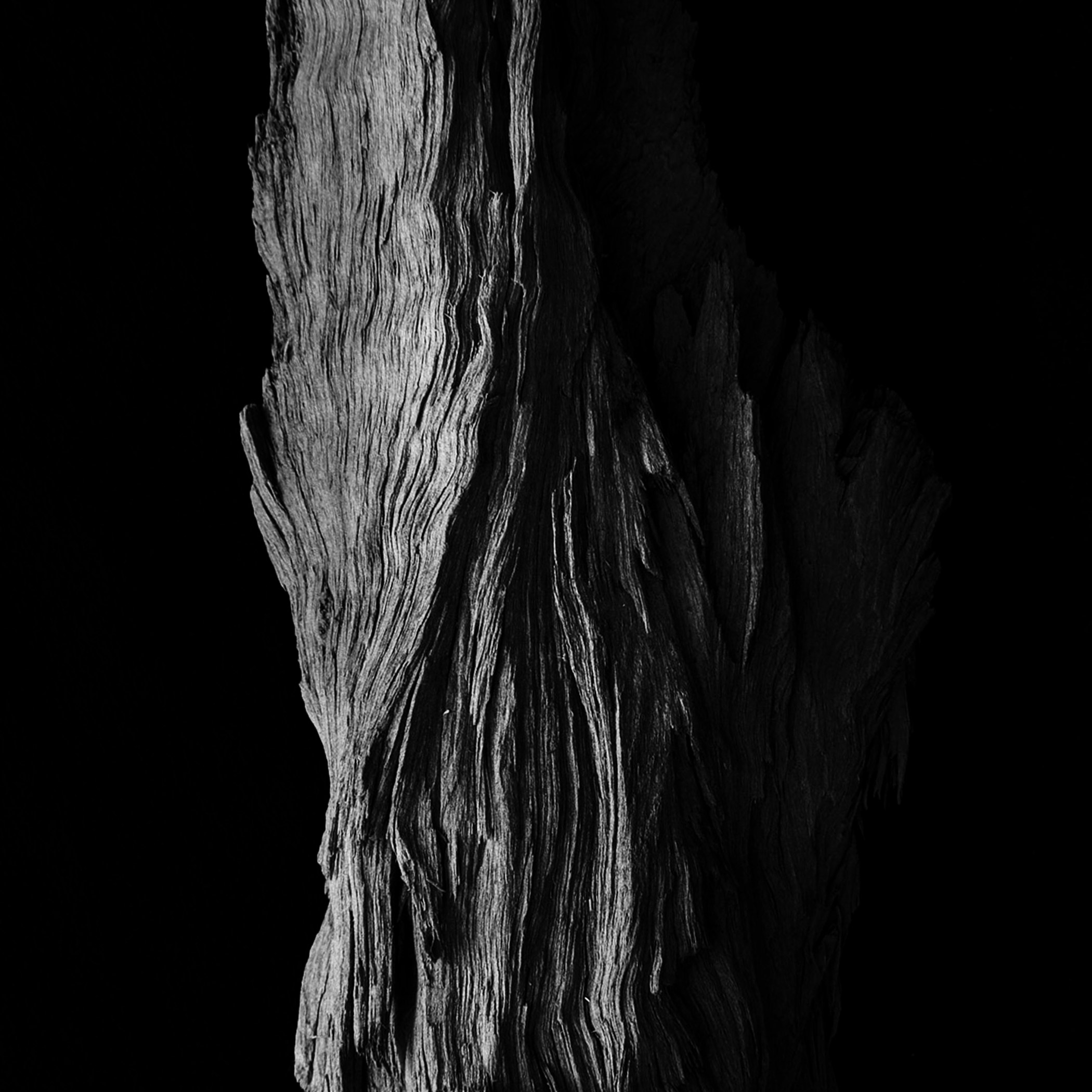plinth_studio_the_fievre_woody